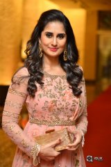 Shamili at Ammammagari Illu Pre Release Function Photos